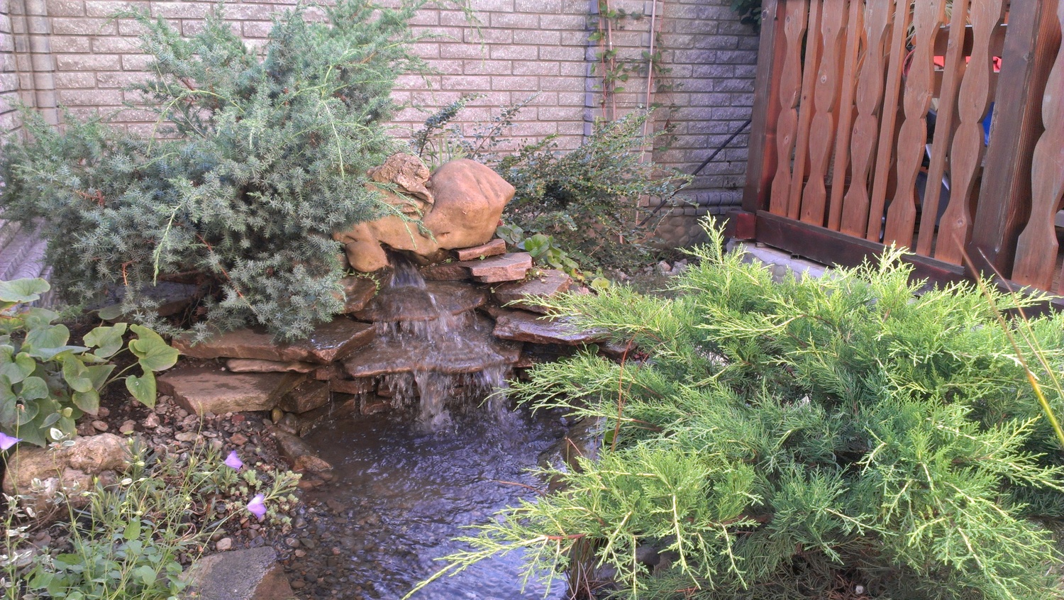 ДОгляд за Водоймами