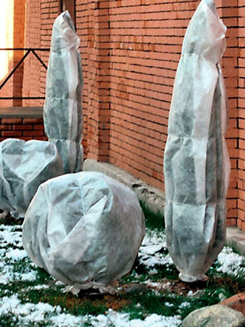 підготовка саду до зими